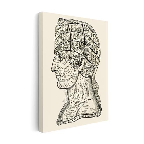 A Symbolic Head Phrenology Print 1899