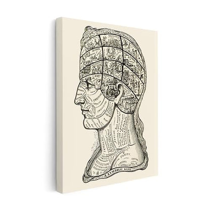 A Symbolic Head Phrenology Print 1899