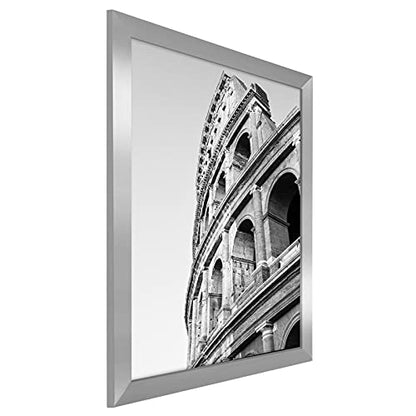 20x24 Poster Frame