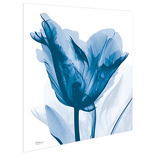 Frameless Free Floating Tempered Glass Panel Graphic Wall Art Ready to Hang