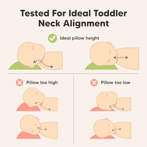 Toddler Pillow with Pillowcase