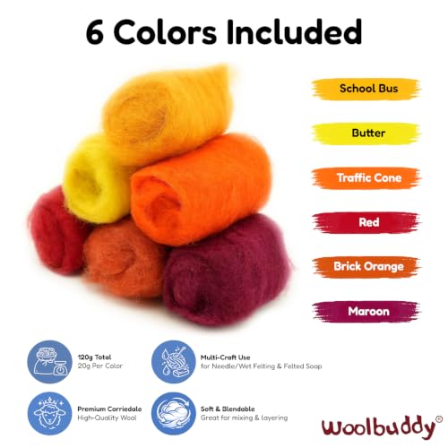 Wool Roving Kit for Needle Felting