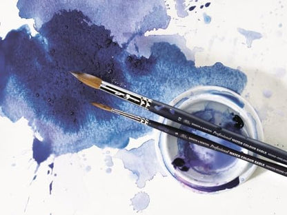Professional Watercolor