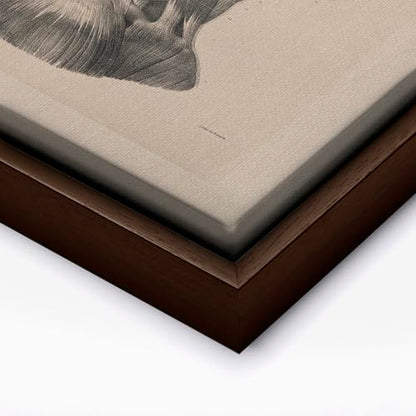 Vintage Science Canvas