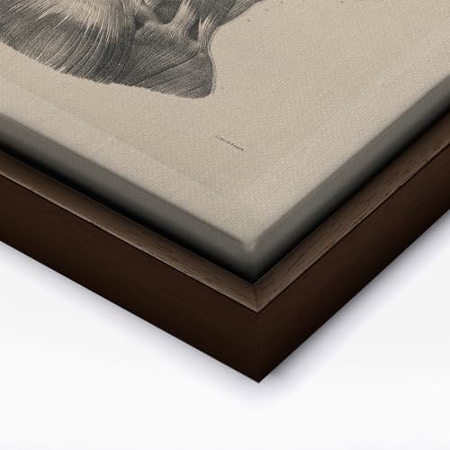 Vintage Science Canvas
