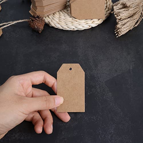 Kraft Paper Gift Tags (200 Count)