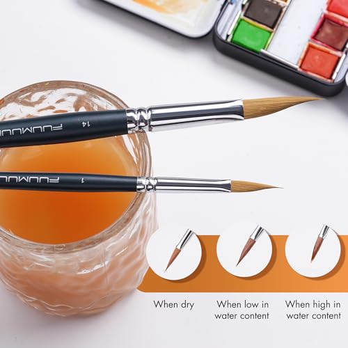 Triangle Wedge Paint Brushes Set