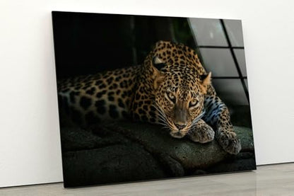 12Wx10H'' Fierce Leopard Glass Wall ArtTempered Glass Printing Wall Decor Large Wall Art Wall Hangings