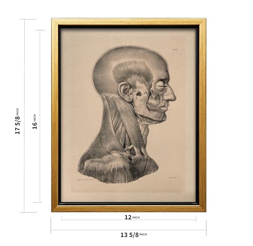 Vintage Science Canvas