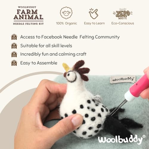 Needle Felting Kit Starter Set