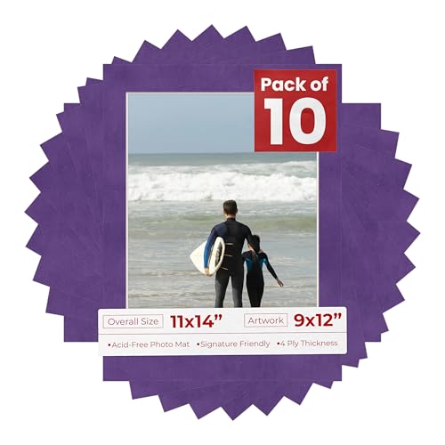 Pack of Ten Acid Free 11x14 Mats Bevel Cut for 9x12 Photos (10 Count)