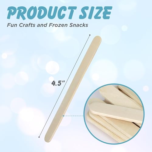 1000 Pcs Popsicle Stick (1000 Count)