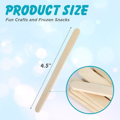 1000 Pcs Popsicle Stick (1000 Count)