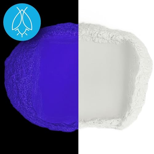Glow in The Dark Pigment Powder (2 Ounce)