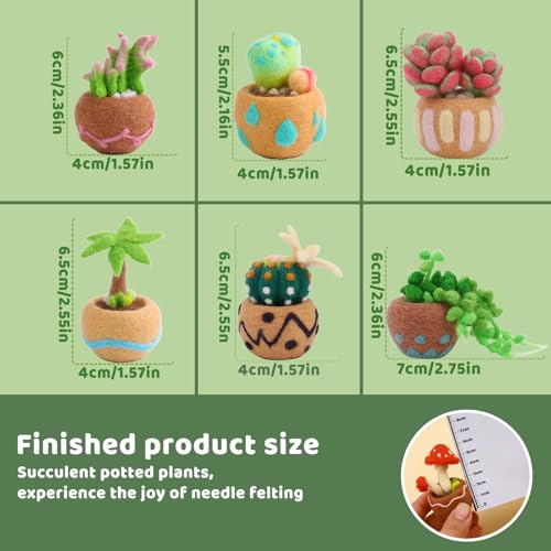Needle Felting Kit