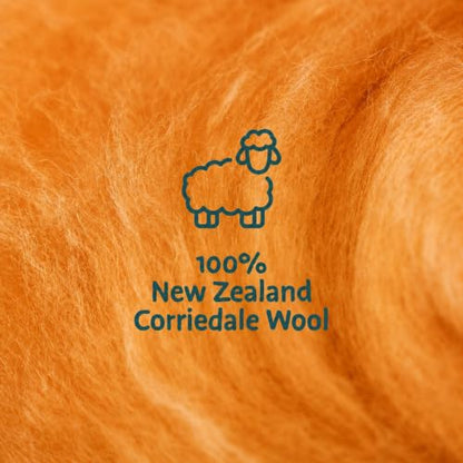 Wool Roving Kit for Needle Felting