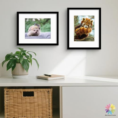 Mat Board Center 50 Pack 11x14 Picture Mat for 8x10 Photo White (50 Count)