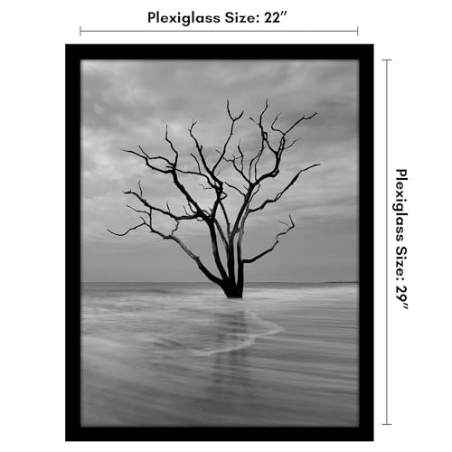 22x29 Poster Frame