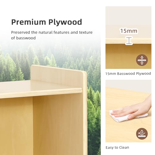 9 Cube Storage Organizer