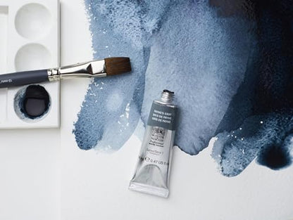 Professional Watercolor