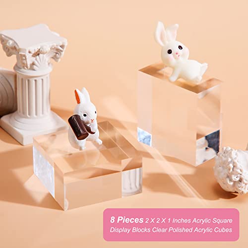 8 Pcs Acrylic Display Block Clear Cube 2 x 2 x 1 Inch