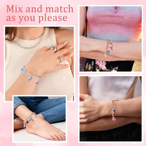 769Pcs Paperclip Charm Bracelet Kit for DIY Christmas Handcraft Gift (769 Count)