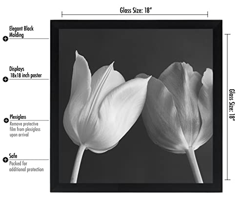 18x18 Poster Frame