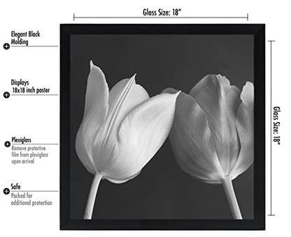 18x18 Poster Frame