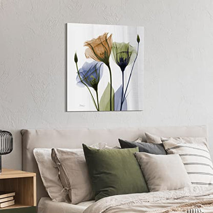 Frameless Free Floating Tempered Glass Panel Graphic Wall Art Ready to Hang