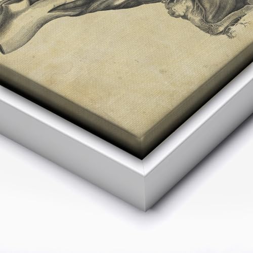 Human Skull Canvas