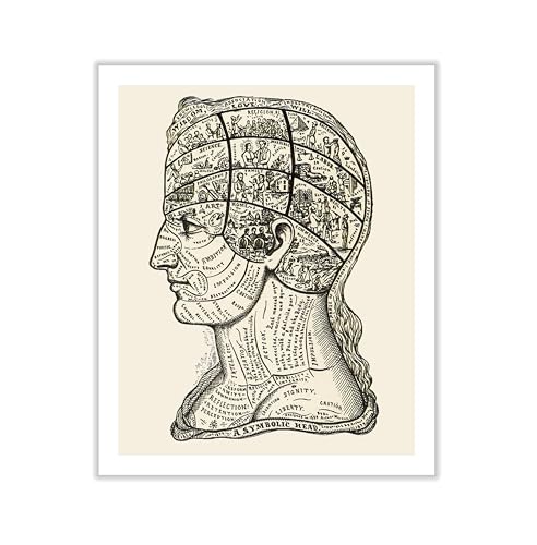 A Symbolic Head Phrenology Print 1899