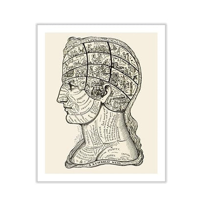A Symbolic Head Phrenology Print 1899