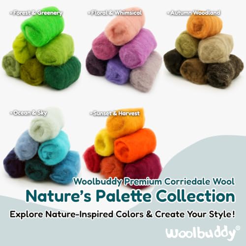 Wool Roving Kit for Needle Felting