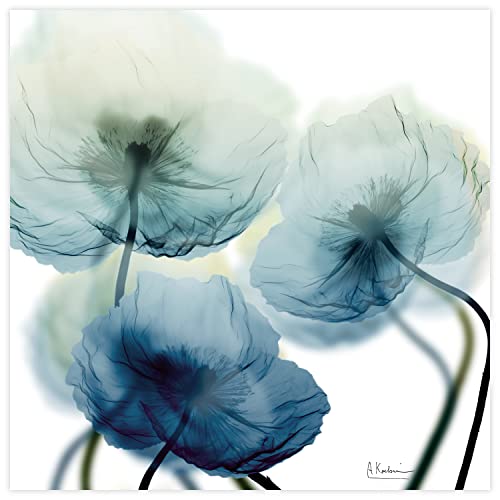 Frameless Free Floating Tempered Glass Panel Graphic Wall Art Ready to Hang