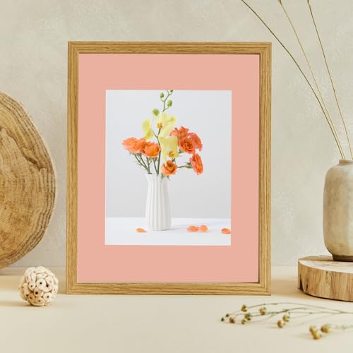 15 Pack Picture Mats 11x14 for 8x10 Photos (15 Count)