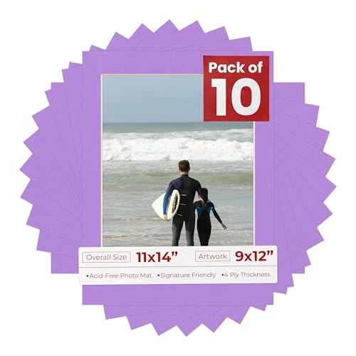 Pack of TEN 11x14 Mats Bevel Cut for 9x12 Photos (10 Count)