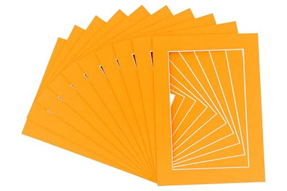 Pack of Ten Acid Free 11x14 Mats Bevel Cut for 9x12 Photos (10 Count)