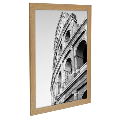 20x24 Poster Frame