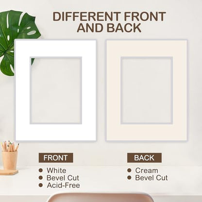 15 Pack 20x16 Picture Mats for 11x14 Photos