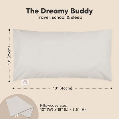 Toddler Pillow with Pillowcase