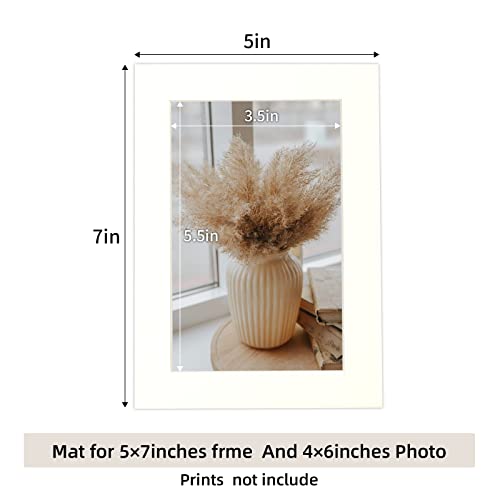 10 Pack 5x7 Ivory Picture Mats