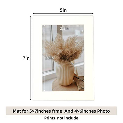 10 Pack 5x7 Ivory Picture Mats