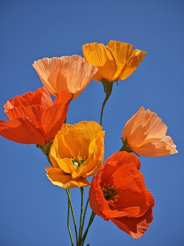 Orange Crepe Paper Poppy Flower DIY Making Kit Home Decoration Table Decor Pack of 24 pcs