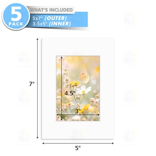 Mat Board Center 5 Pack Acid (5 Count)