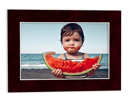 Pack of 25 Acid Free 8x10 Mats Bevel Cut for 5x8 Photos (25 Count)