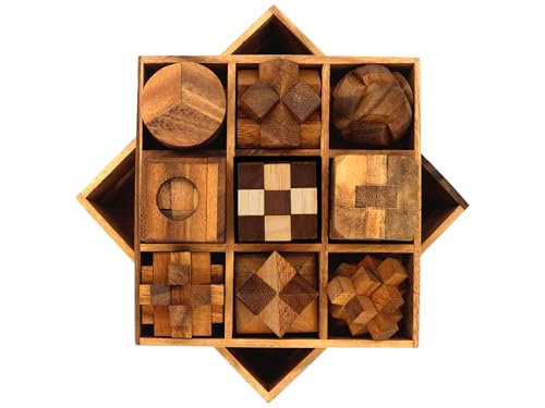 9 in 1 Wooden Brain Teaser Puzzles for Adults Teens Box Set Wood Hard Level 10 Impossible Mind Wood Brain Teaser Games 3D Hand Puzzle Sets for Decoration and Mini Toys (9 Count)