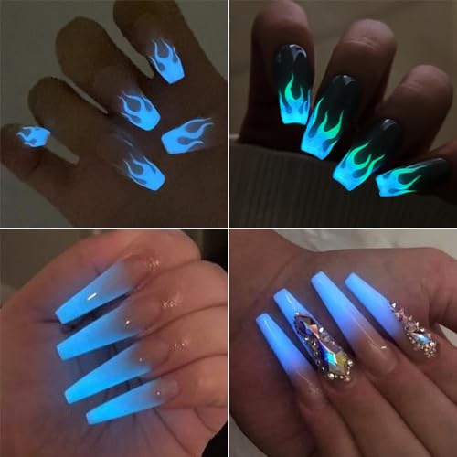 12 Colors Glow in The Dark Nail Powder (2.75 Ounce)