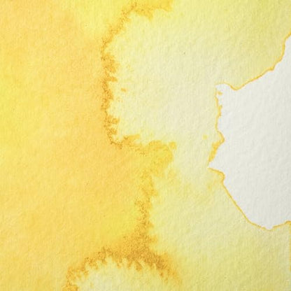 Professional Watercolour