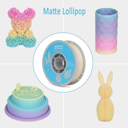 Matte Rainbow PLA 3D Printer Filament (10 .)