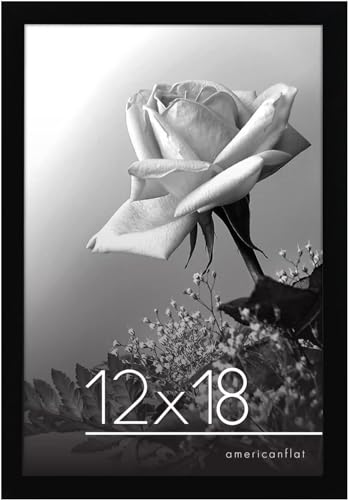 12x18 Poster Frame
